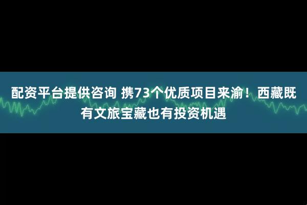 配资平台提供咨询 携73个优质项目来渝！西藏既有文旅宝藏也有投资机遇