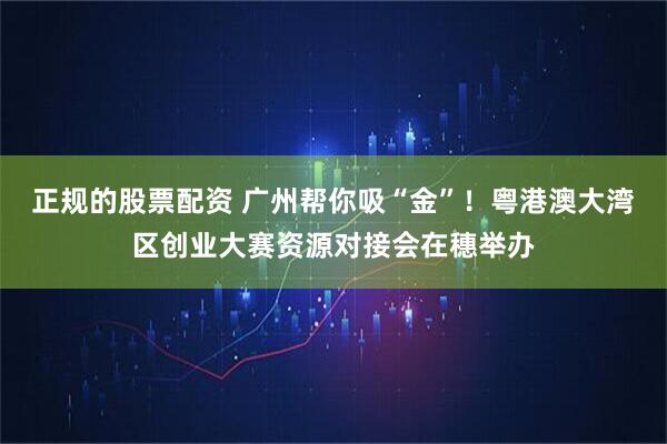 正规的股票配资 广州帮你吸“金”！粤港澳大湾区创业大赛资源对接会在穗举办